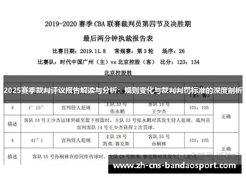 2025赛季裁判评议报告解读与分析：规则变化与裁判判罚标准的深度剖析