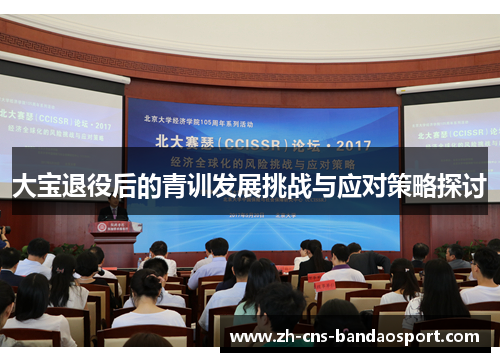 大宝退役后的青训发展挑战与应对策略探讨