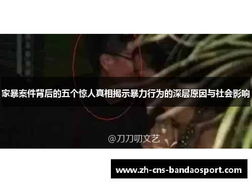 家暴案件背后的五个惊人真相揭示暴力行为的深层原因与社会影响