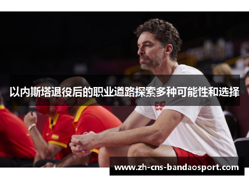 以内斯塔退役后的职业道路探索多种可能性和选择